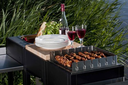 OneQ Flame, Gas barbecue